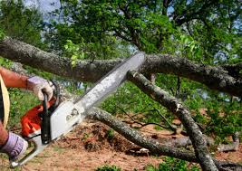 Best Tree Removal  in Mountain Top, PA